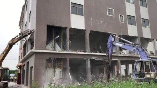 动真格出实招 东凤镇依法拆除一大型“两违”建筑， 违建“毒瘤”被连根拔起！